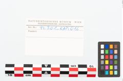 Etikett zu Eisenkonvolut (NHMW-PRAE-094301)